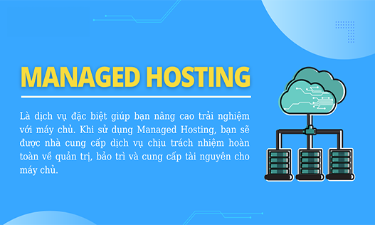 Tại Sao Nên Chọn Managed WordPress Hosting Cho Website Của Bạn?
