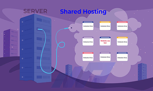 Shared Hosting là gì? Có tốt cho SEO website không?